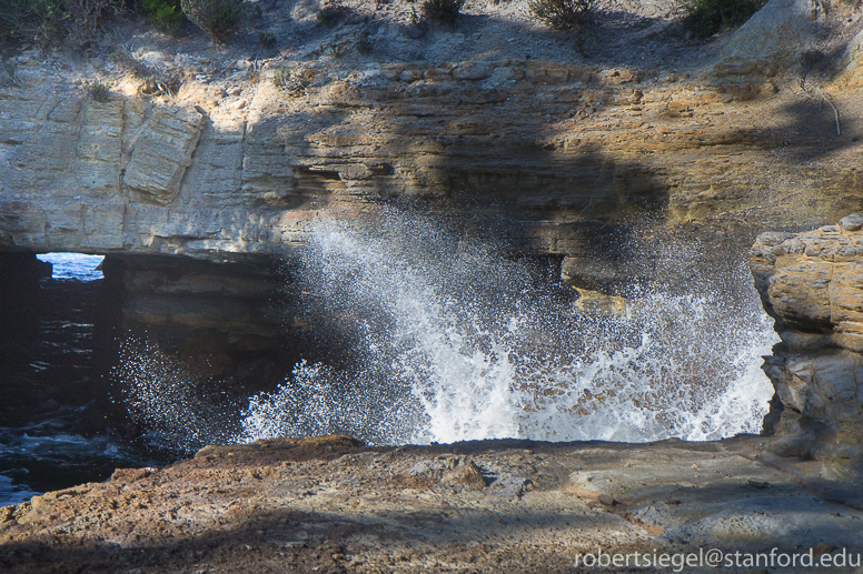 the blowhole